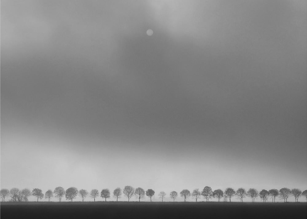 Polderlandschap | Poster