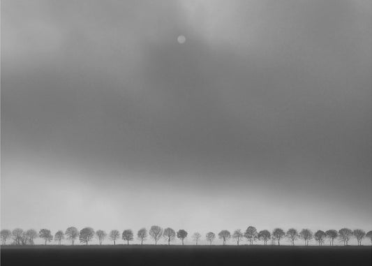 Polderlandschap | Poster