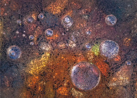 Winter over herfst | Poster