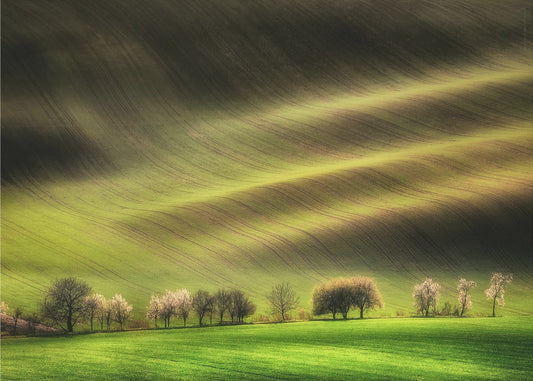 Moravische Velden | Canvas