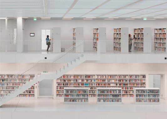 in the library, 2014 | Canvas