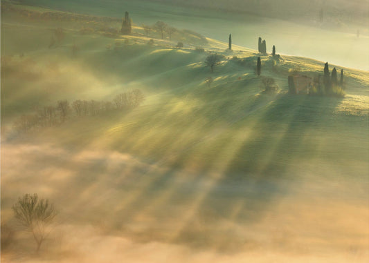 Mist... | Behang