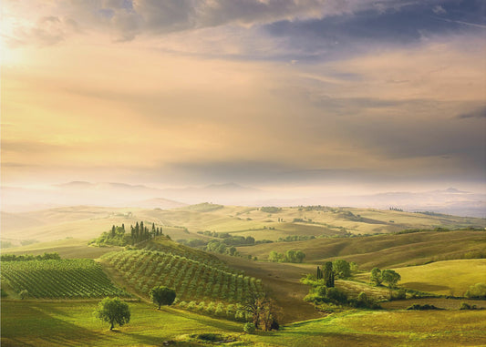Zonsopgang van Podere Belvedere | Behang