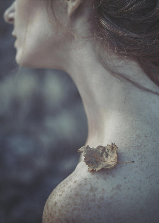 the leaf | Poster