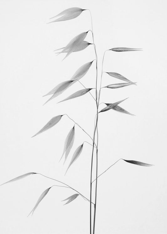 Scherpte van de natuur | Canvas