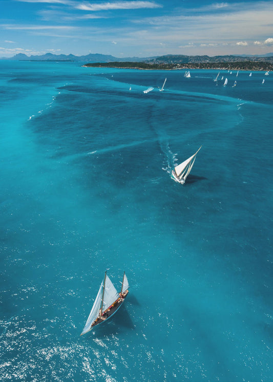 Boven de race | Poster
