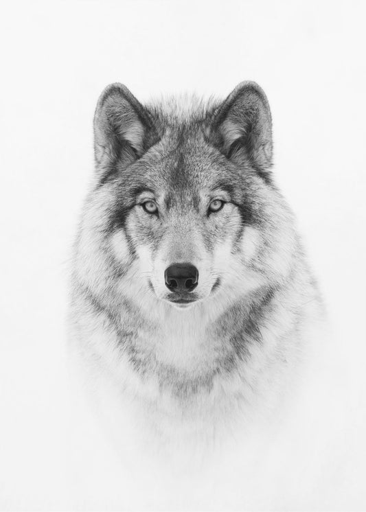 Portret van een boswolf | Canvas