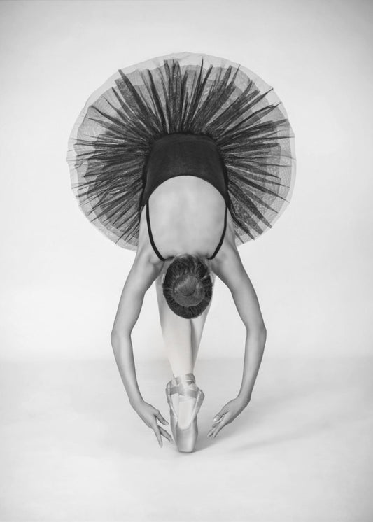 Ballettechniek | Poster