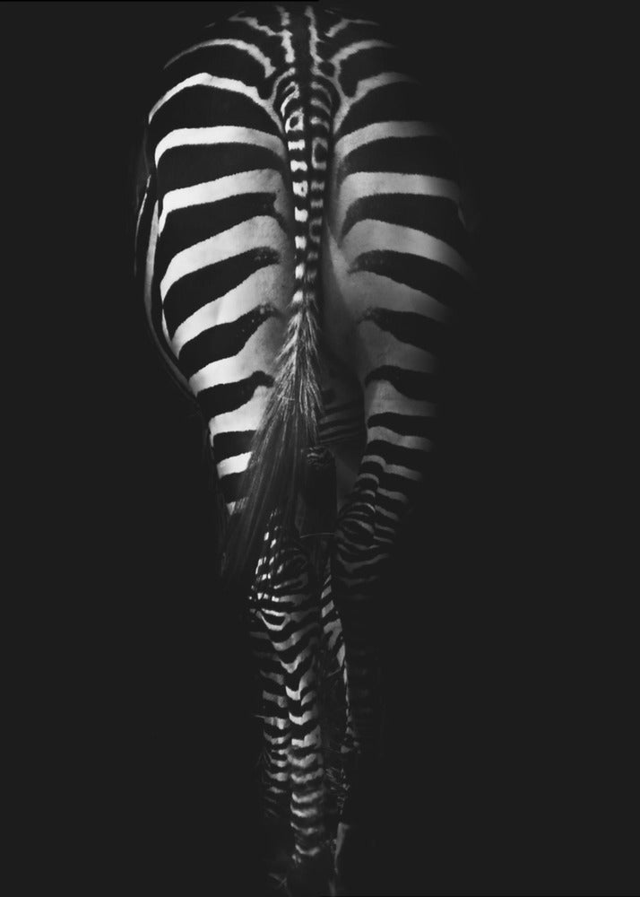 Zonder titel | Poster