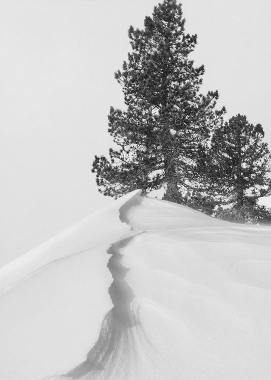 Over sneeuw en vormen | Poster