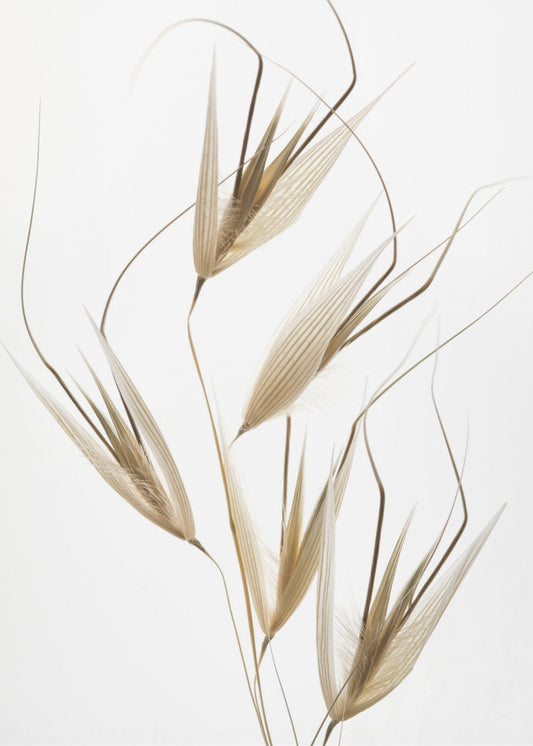 Delicatesse van de natuur | Canvas