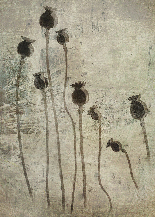 Papaverzaailingen | Canvas