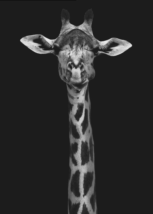 Girafportret | Canvas