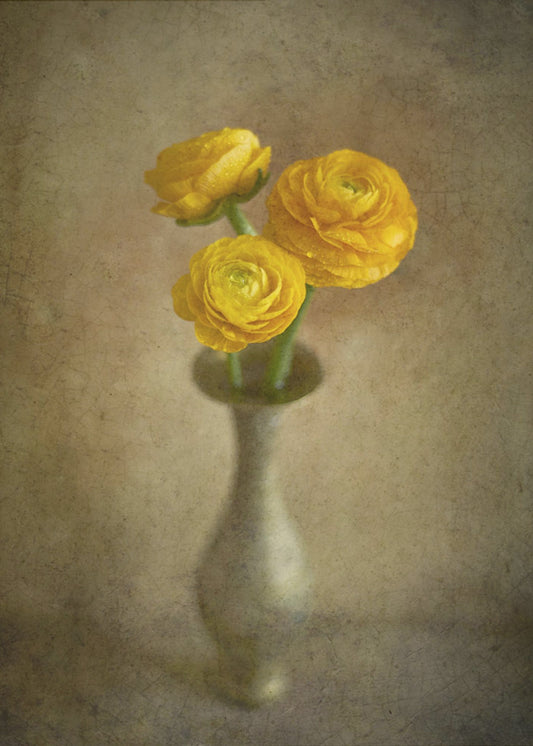 Yellow buttercups | Poster