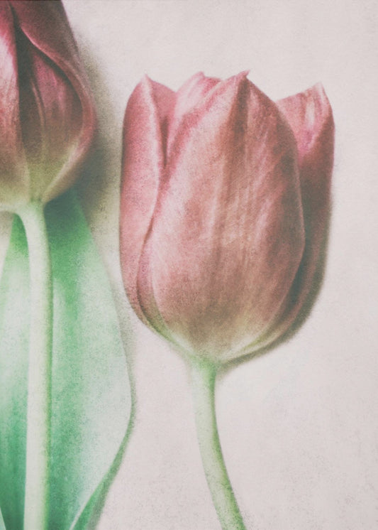 De Lenteliefhebbers | Canvas
