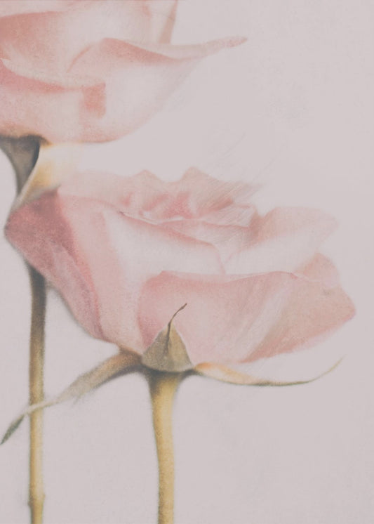 Twee rozen | Canvas