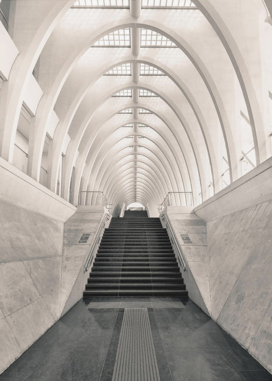 Binnen Calatrava | Canvas