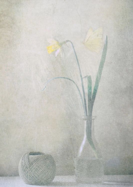 Lente in huis | Canvas