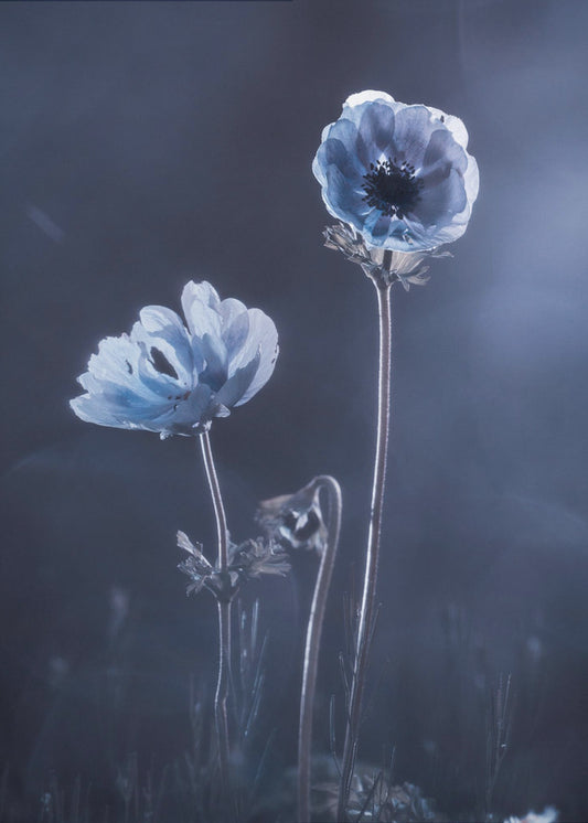 Ondertussen, buitenmuren | Canvas