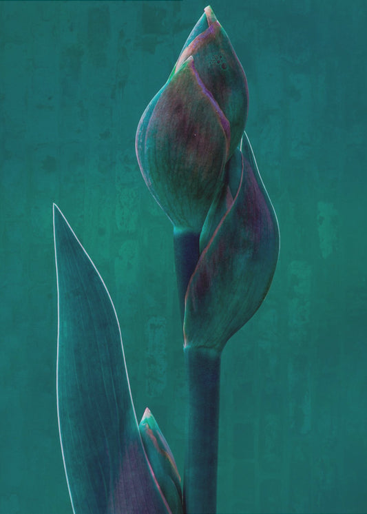Blauwe charade. | Canvas