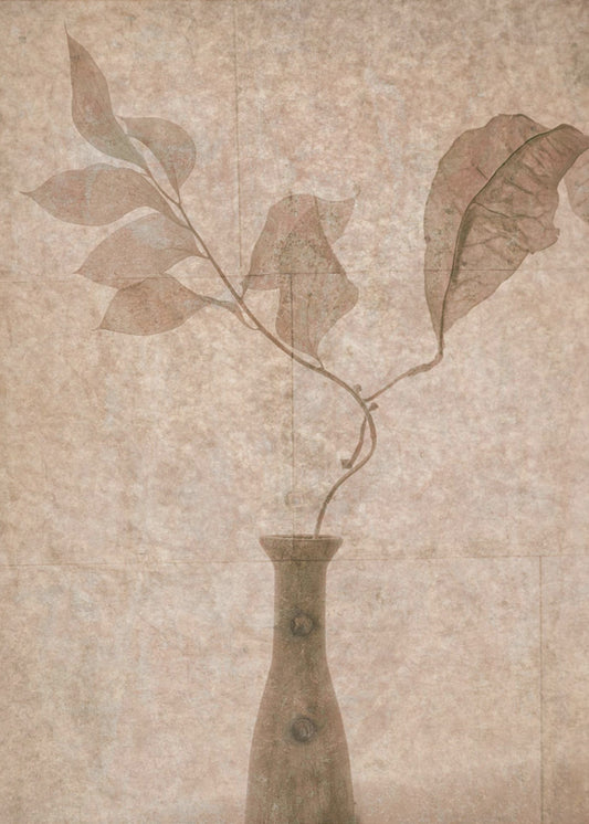 Still Life | Canvas