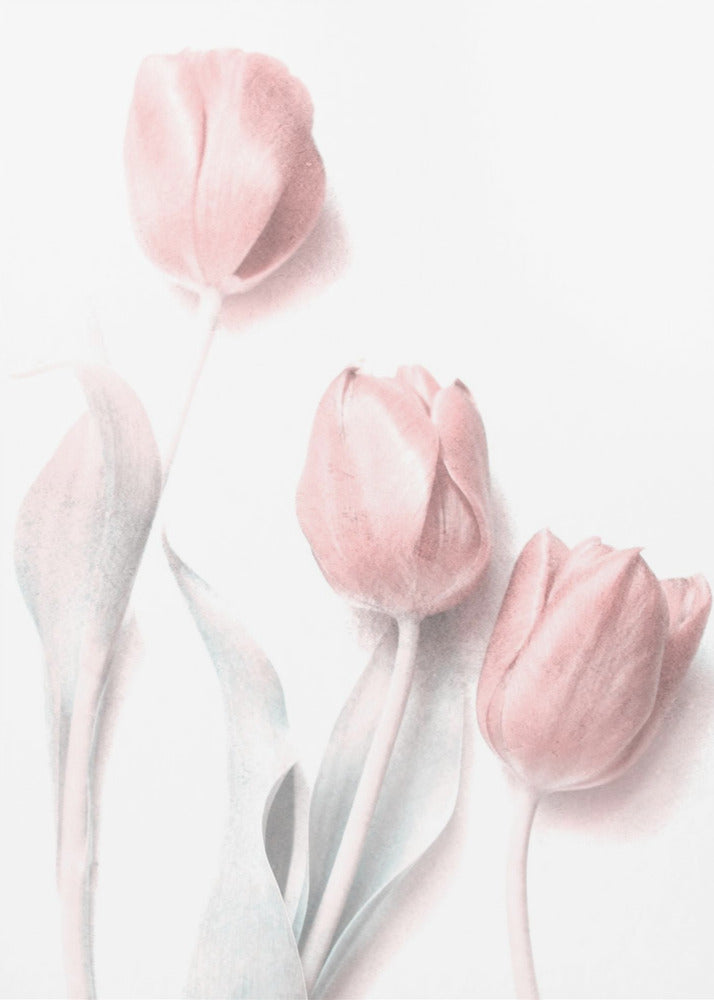 Zoet Roze | Canvas