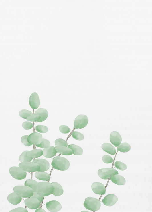 Takken | Canvas
