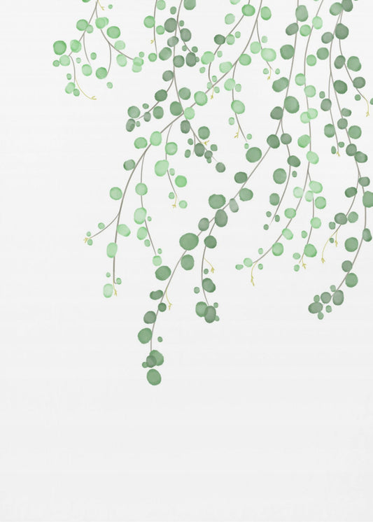 Birch Tree | Poster