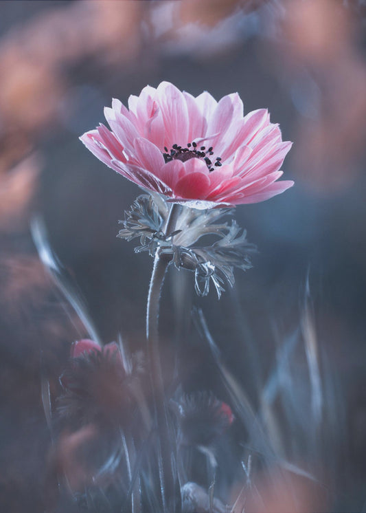 Staand in schoonheid | Canvas
