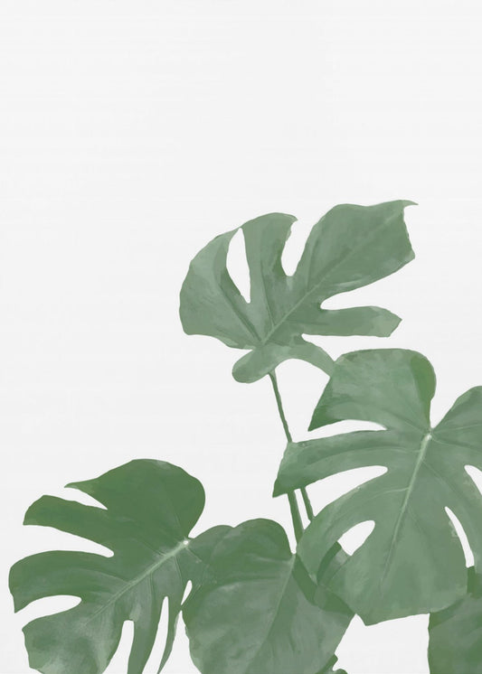 Monstera Aqua 04 | Canvas