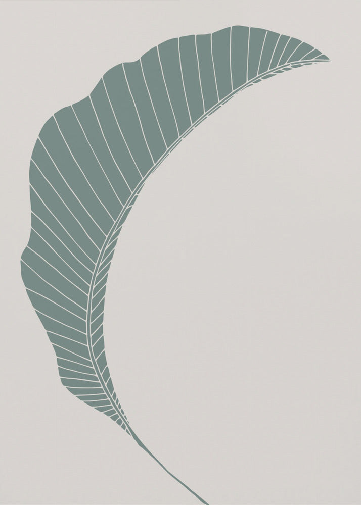 Bananenbladgroen | Canvas