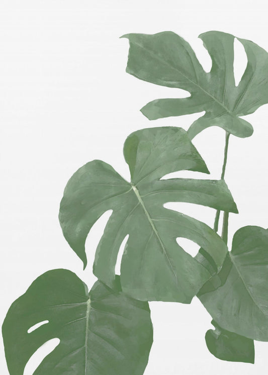 Monstera Aqua 03 | Canvas