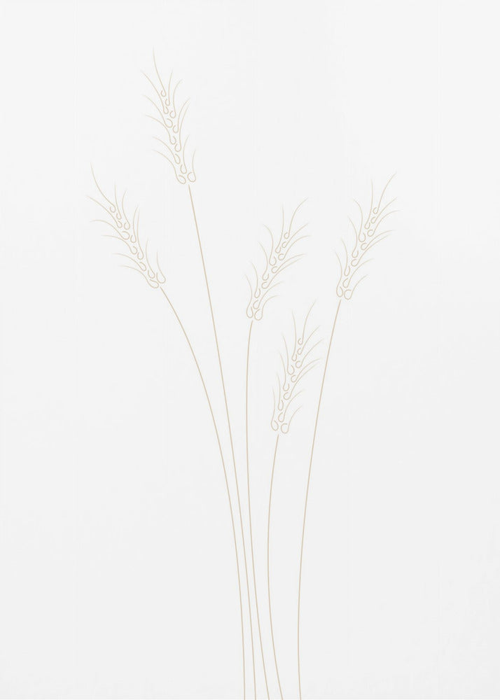 Tarwegras | Canvas