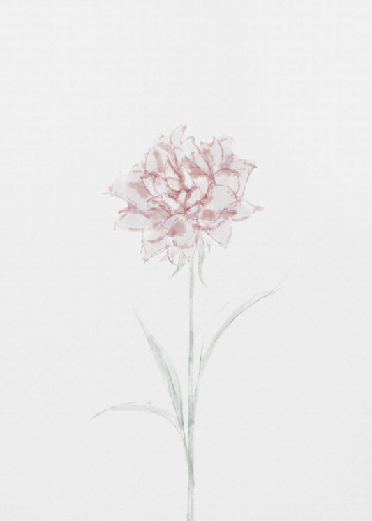 Pioenroos 02 | Canvas