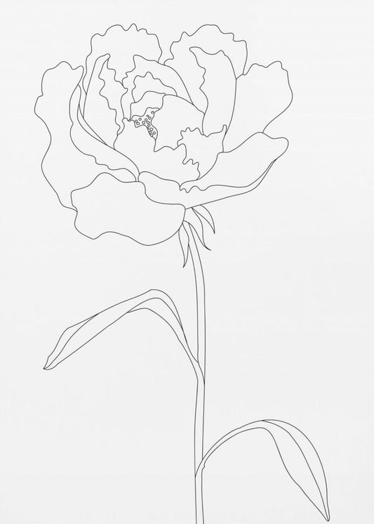 Pioenlijnen | Canvas