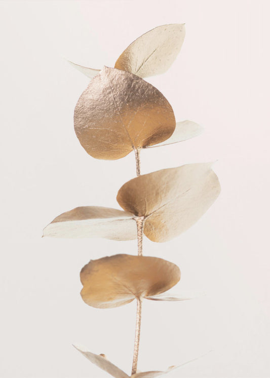 Eucalyptus Goud Nr. 06 | Canvas