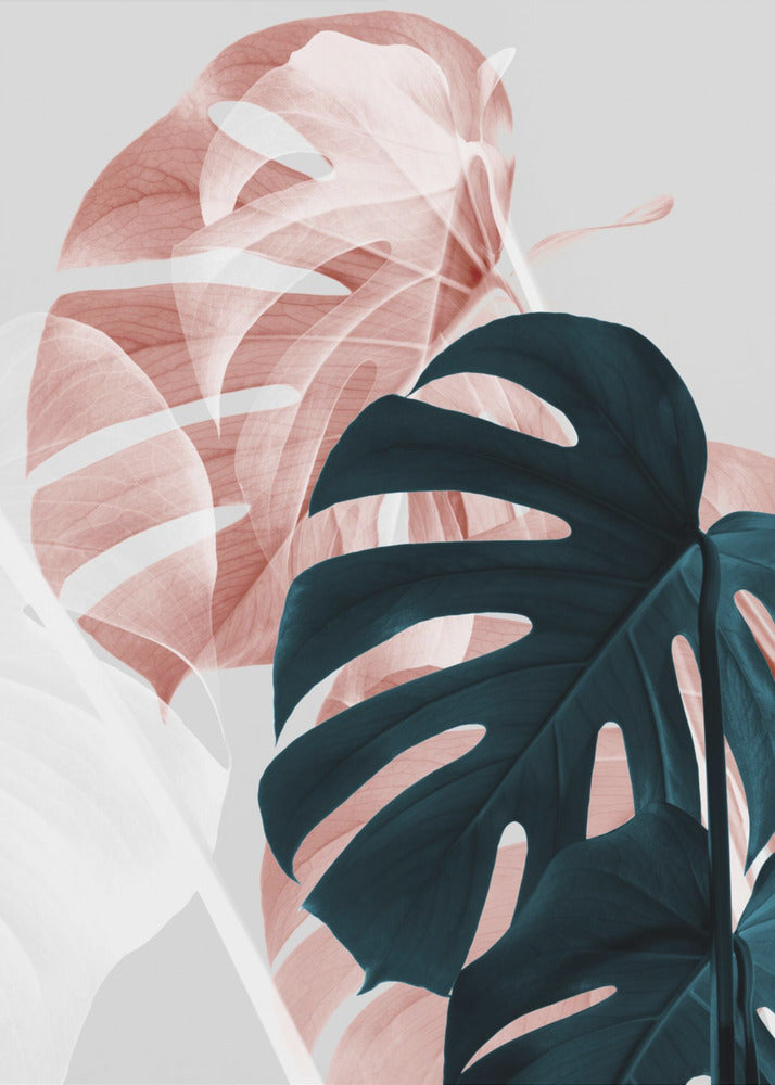 Monstera Creative 09 | Canvas