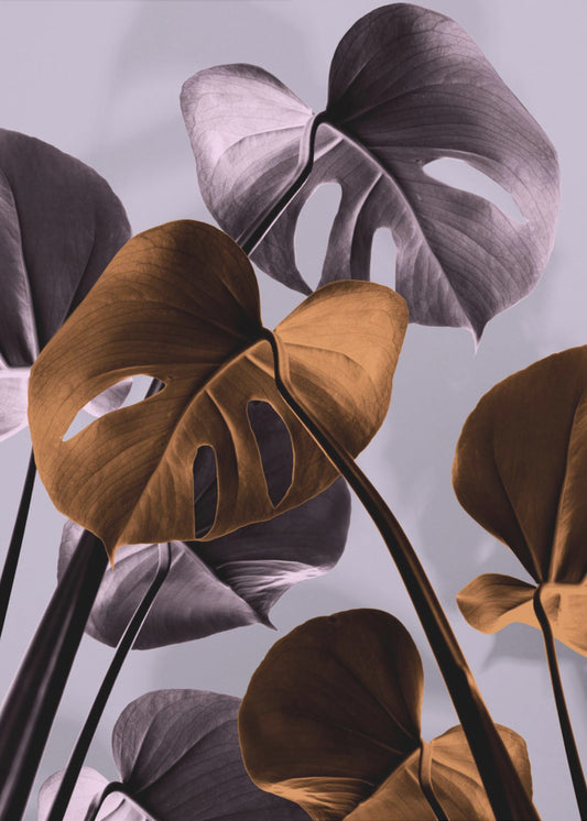 Monstera Paars 01 | Canvas