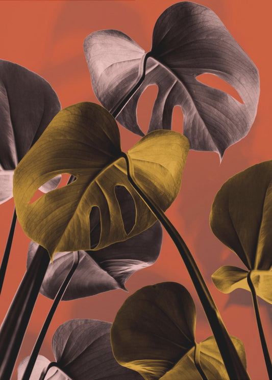 Monstera Oranje 01 | Canvas