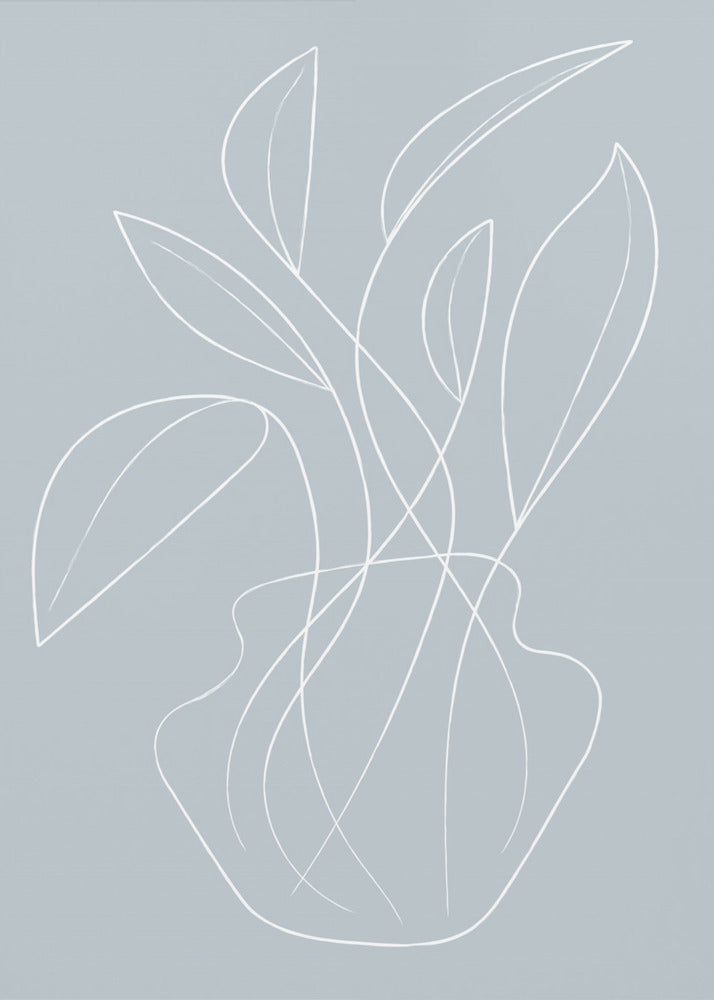 Vase Lines | Canvas