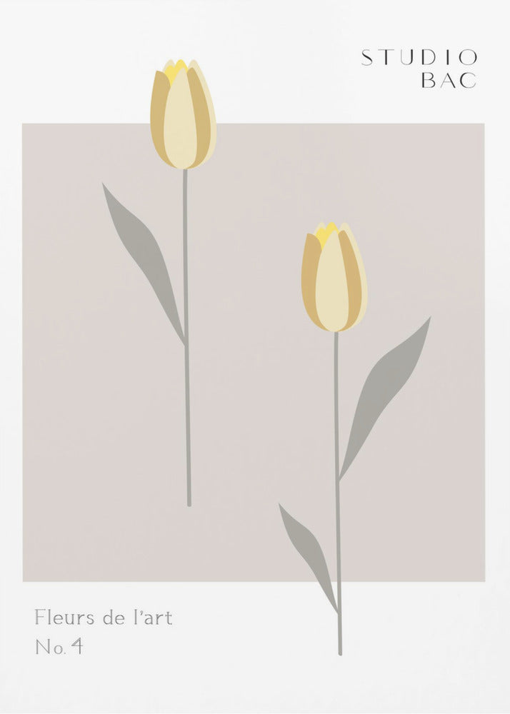 Tulpen Studio Bac | Canvas