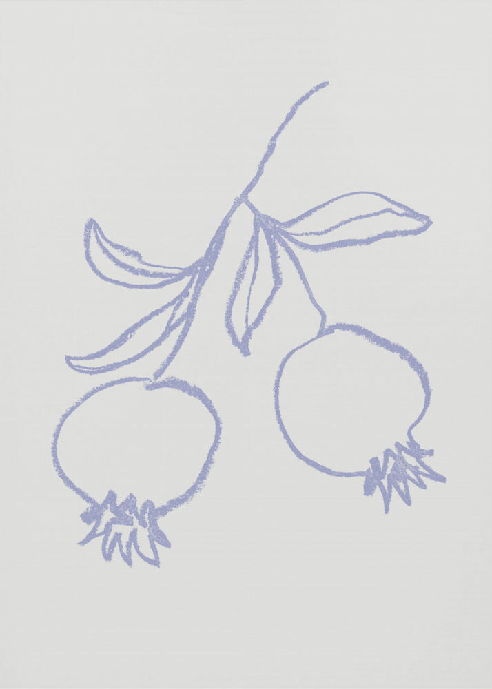 Granaatappel Lila | Canvas