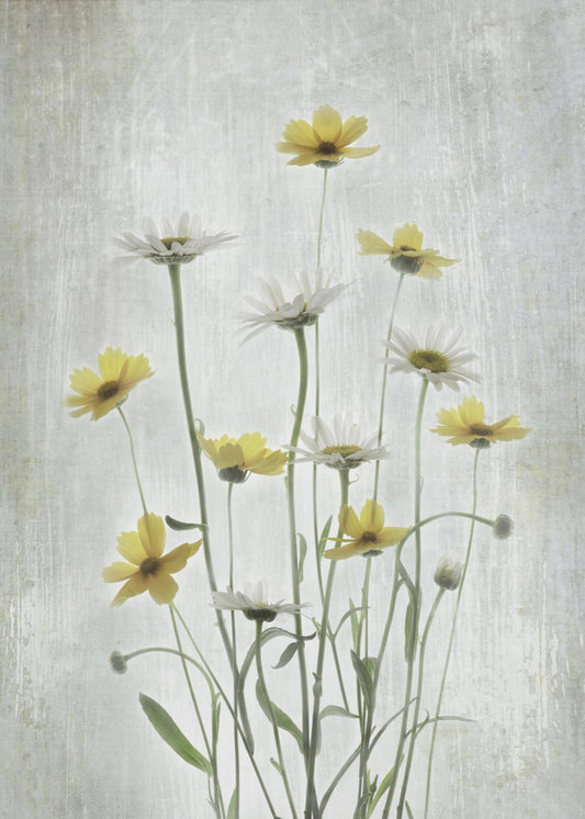 Summer Flowers | Poster
