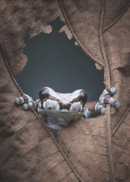 Hallo... | Poster
