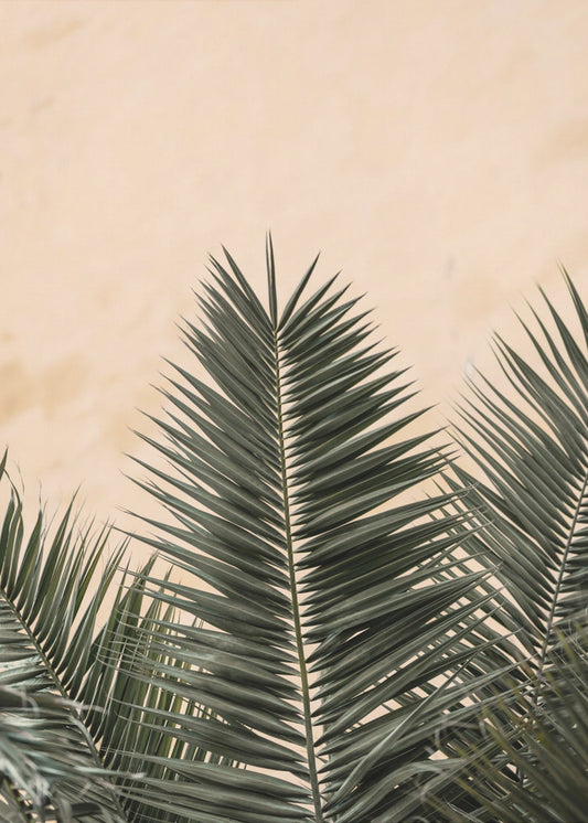 Palmbladeren en muur_1 | Canvas