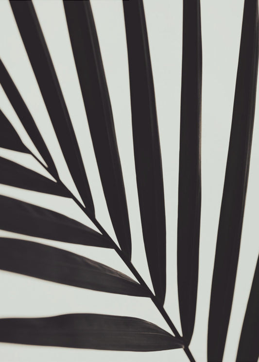 Grafisch palmblad_1 | Canvas