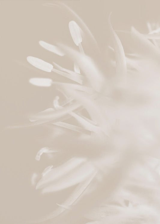 Bloem Beige_1 | Canvas