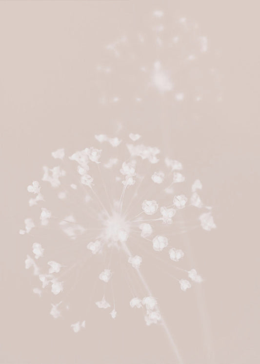 Gedroogde bloem roze | Canvas
