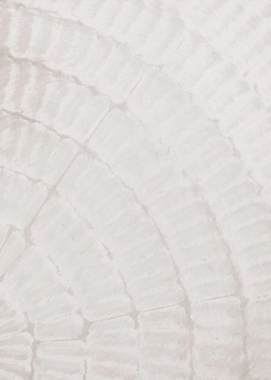 Patroonplaat_beige_2 | Canvas