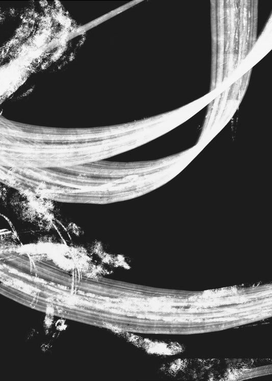 negatieven_006_wandtapijt | Canvas